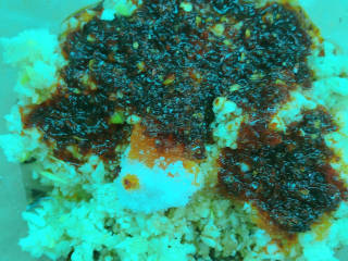 #闹元宵#蒜泥白肉 