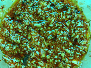 #闹元宵#蒜泥白肉 